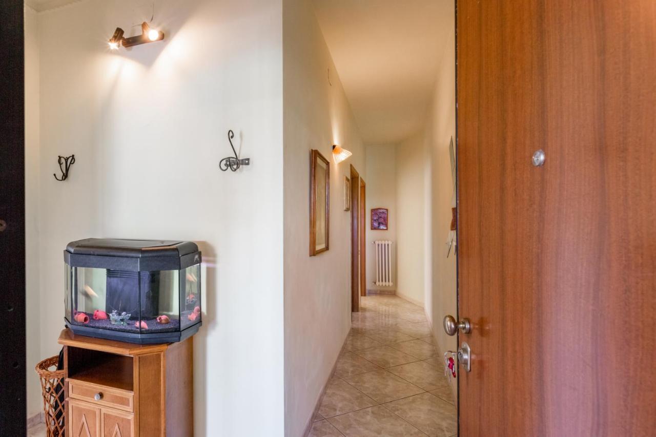 Pisa Green House Near Station And Airport Appartamento Esterno foto
